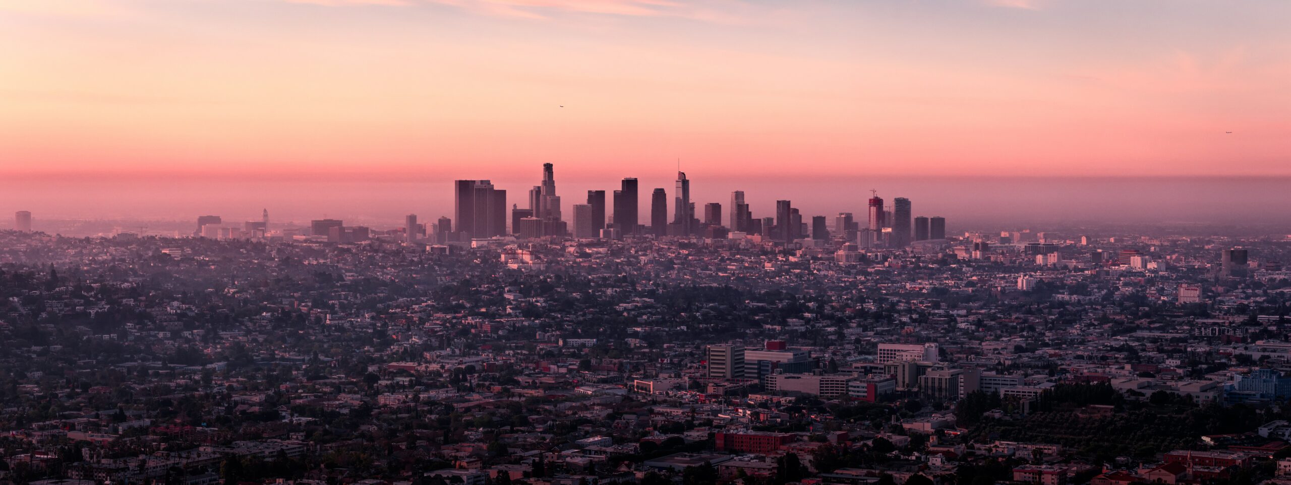 Skyline photo by Martin Adams on Unsplash