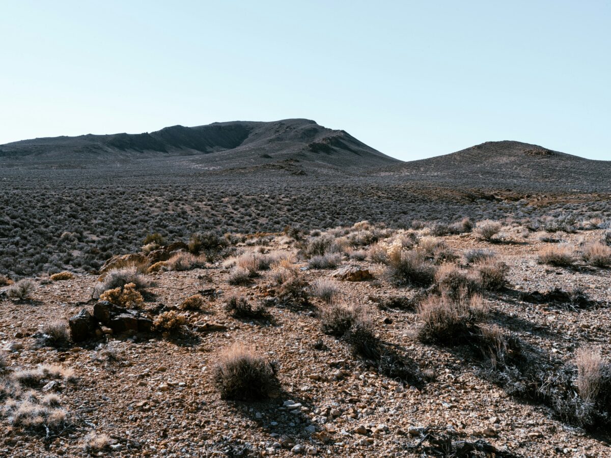 desert features